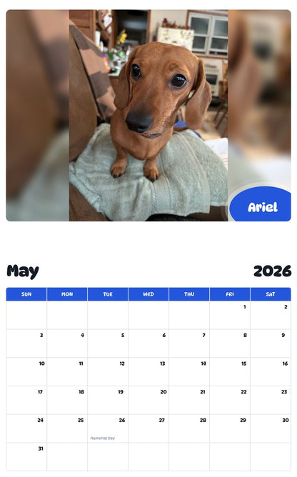 2026 - 2027 Ariel - Pawidols Pet Calendar
