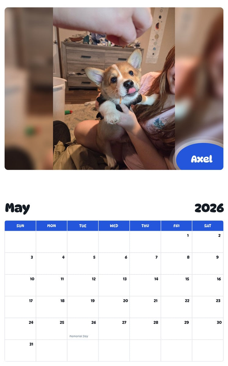 2026 - 2027 Axel - Pawidols Pet Calendar