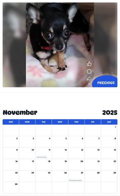 July 2025 - June 2026 Precious - Pawidols Pet Calendar