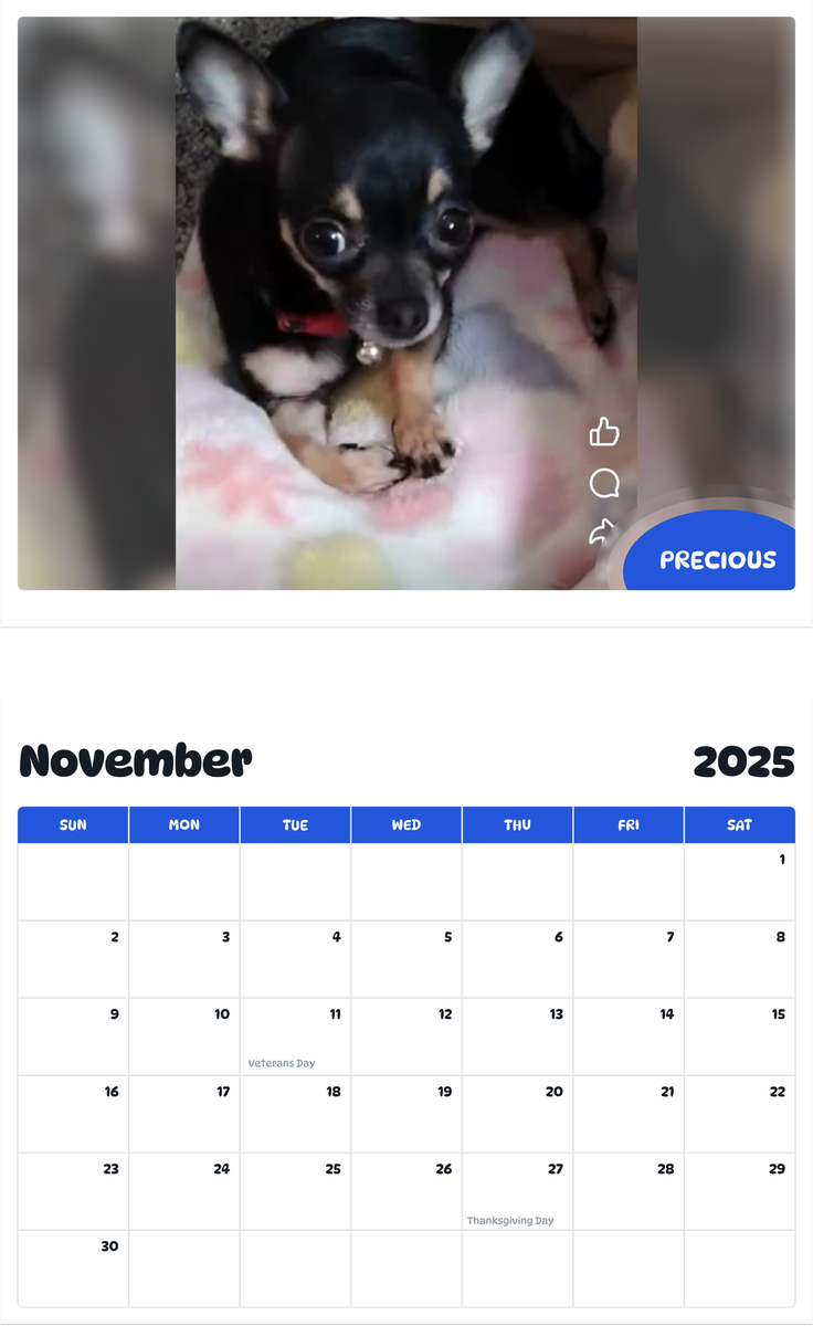 July 2025 - June 2026 Precious - Pawidols Pet Calendar