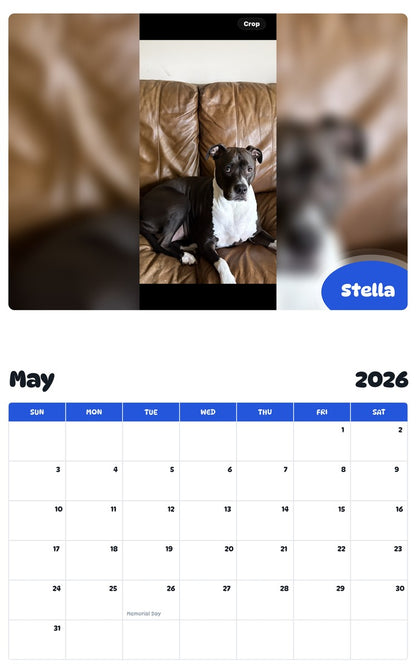 2026 - 2027 Stella - Pawidols Pet Calendar