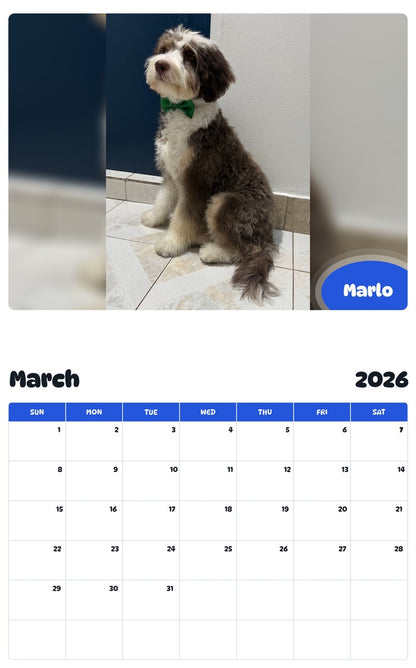 November 2025 - October 2026 Marlo - Pawidols Pet Calendar