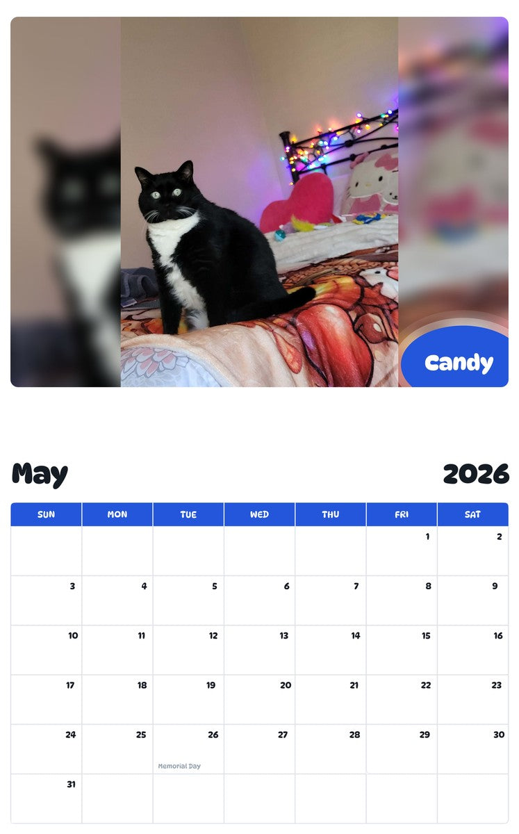 2026 - 2027 Candy - Pawidols Pet Calendar