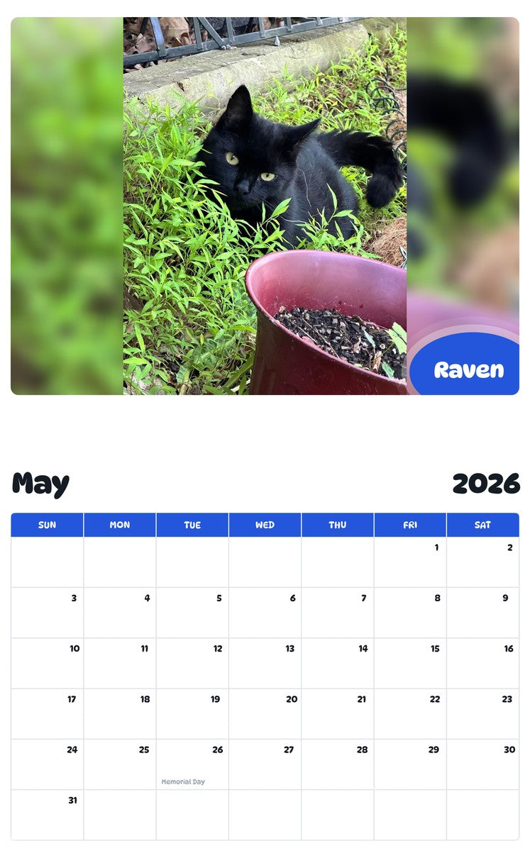 2026 - 2027 Raven - Pawidols Pet Calendar