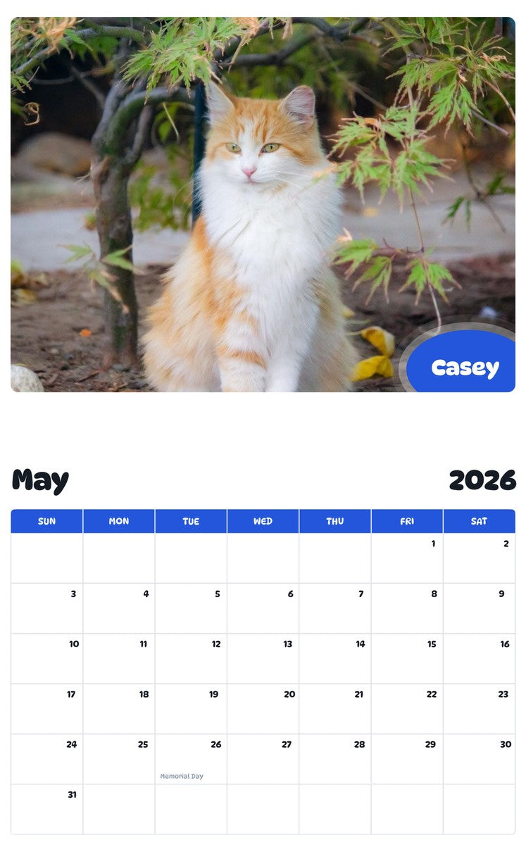 2026 - 2027 Casey - Pawidols Pet Calendar