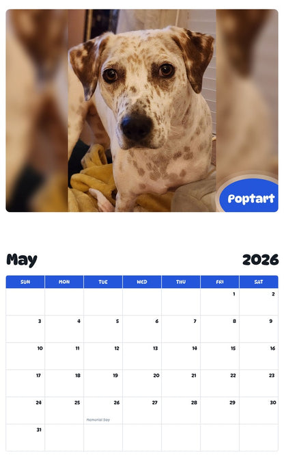 2026 - 2027 Poptart - Pawidols Pet Calendar
