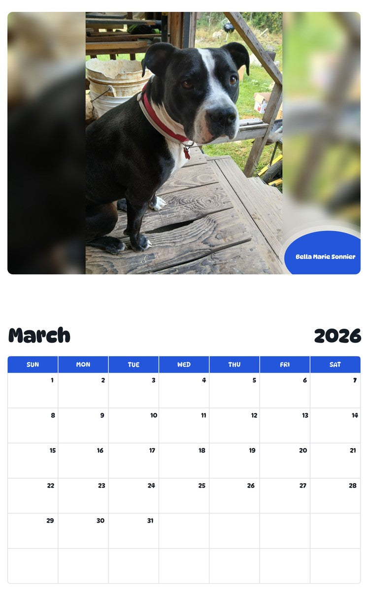 November 2025 - October 2026 Bella Marie Sonnier - Pawidols Pet Calendar