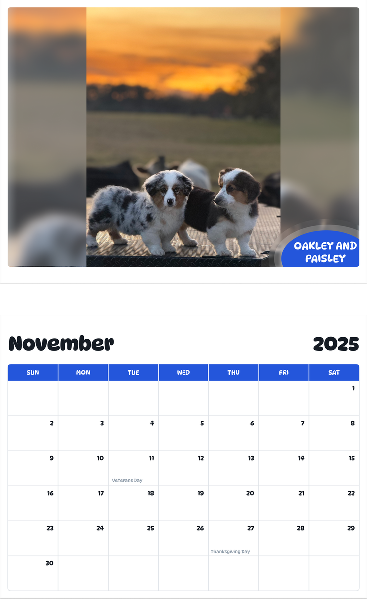 July 2025 - June 2026 Oakley and Paisley - Pawidols Pet Calendar