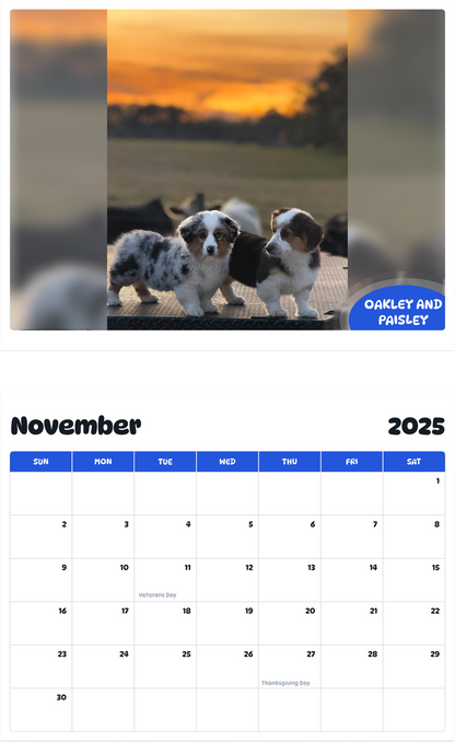 July 2025 - June 2026 Oakley and Paisley - Pawidols Pet Calendar