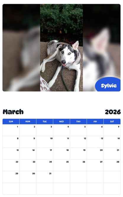 November 2025 - October 2026 Sylvie - Pawidols Pet Calendar