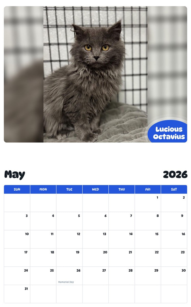 2026 - 2027 Lucious Octavius - Pawidols Pet Calendar