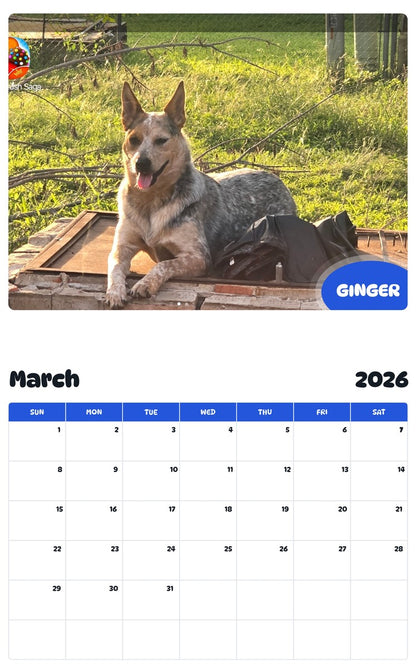 November 2025 - October 2026 GINGER - Pawidols Pet Calendar