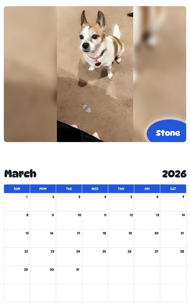 November 2025 - October 2026 Stone - Pawidols Pet Calendar