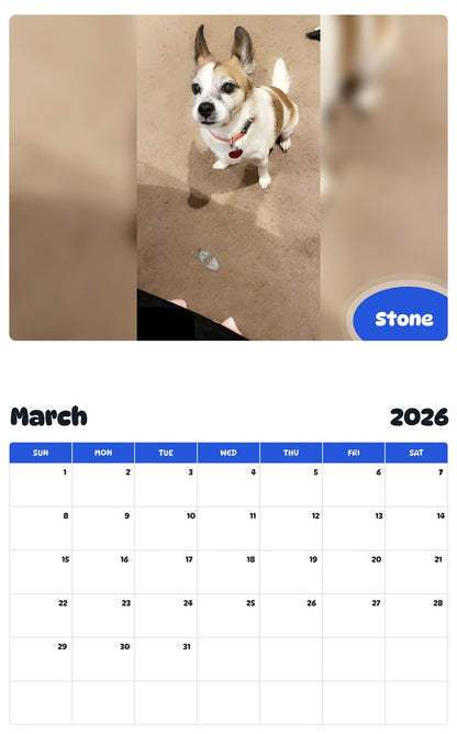 November 2025 - October 2026 Stone - Pawidols Pet Calendar
