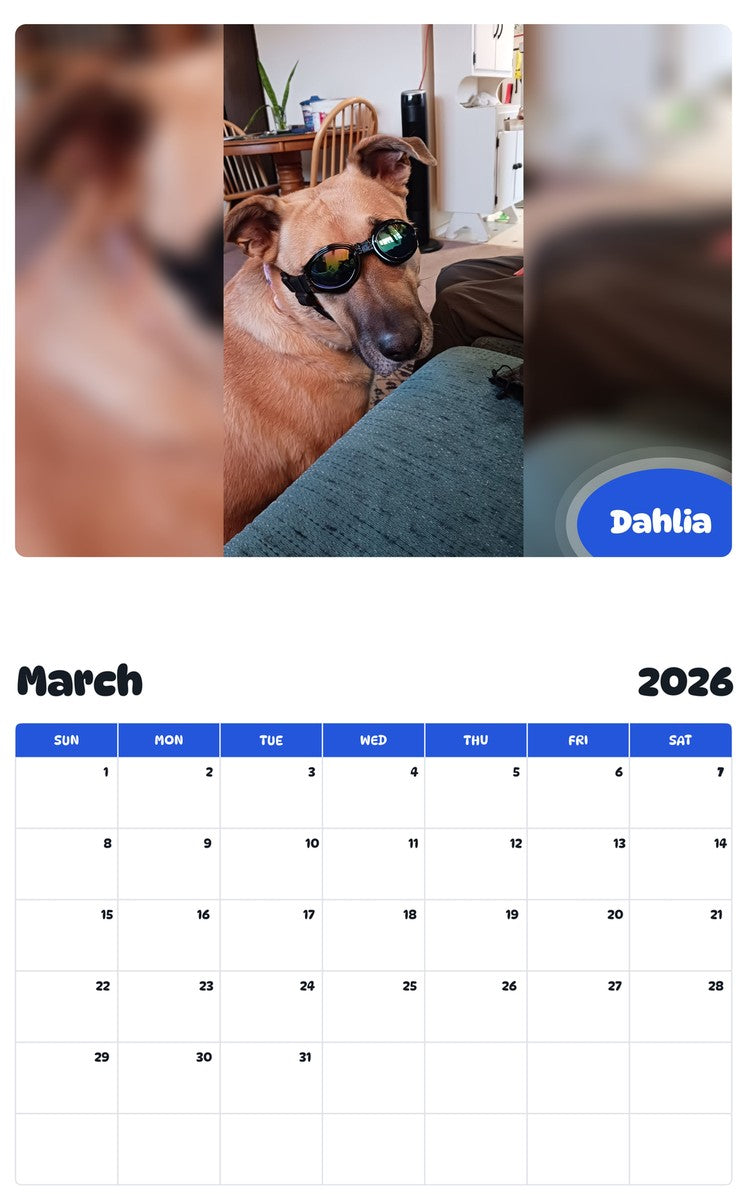 November 2025 - October 2026 Dahlia - Pawidols Pet Calendar