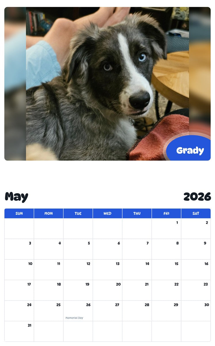 2026 - 2027 Grady - Pawidols Pet Calendar