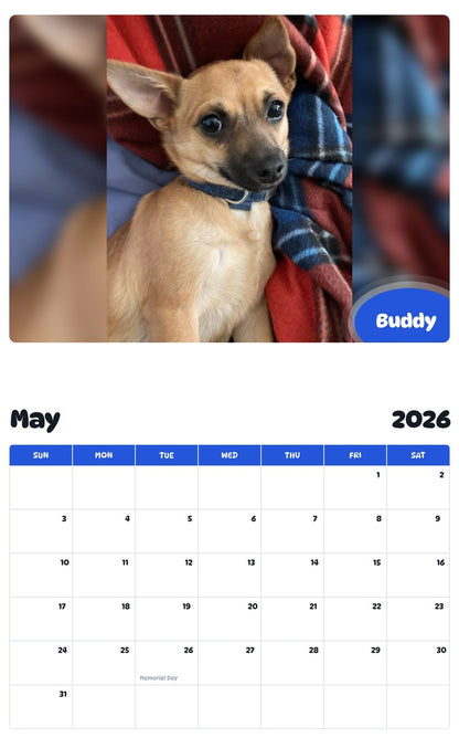 2026 - 2027 Buddy - Pawidols Pet Calendar