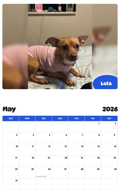 2026 - 2027 Lola - Pawidols Pet Calendar