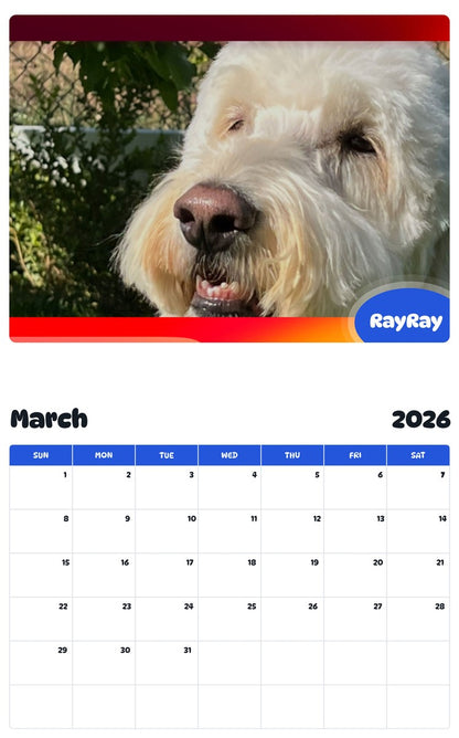 November 2025 - October 2026 RayRay - Pawidols Pet Calendar