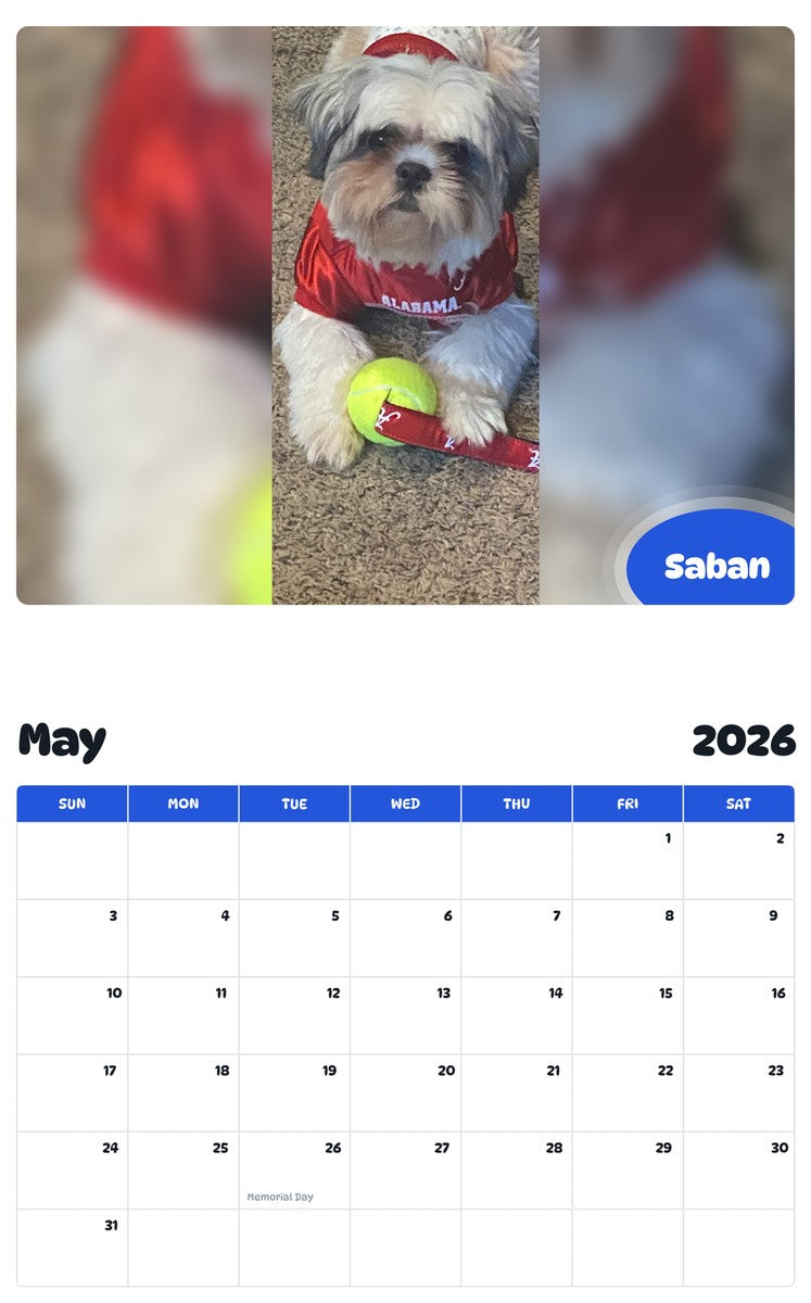 2026 - 2027 Saban - Pawidols Pet Calendar
