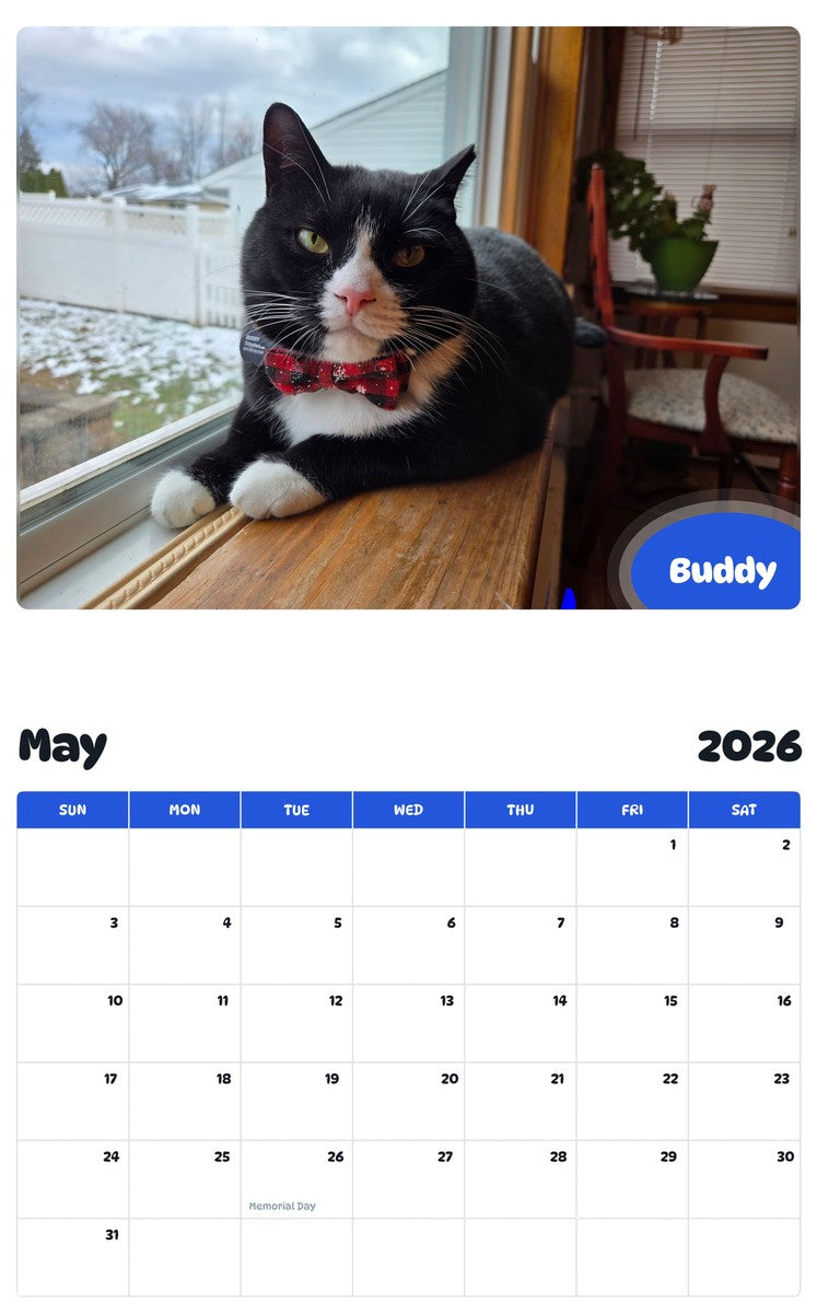 2026 - 2027 Buddy - Pawidols Pet Calendar