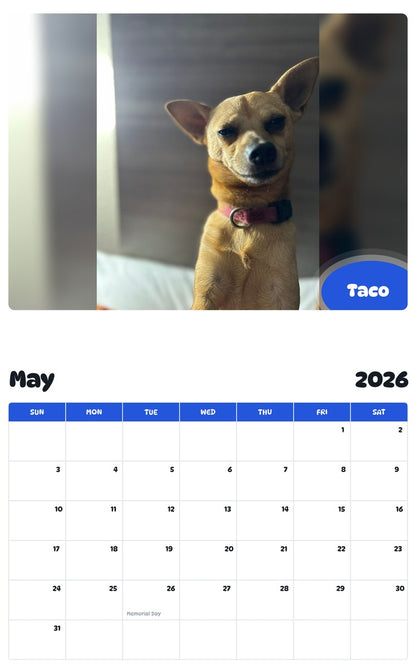 2026 - 2027 Taco - Pawidols Pet Calendar