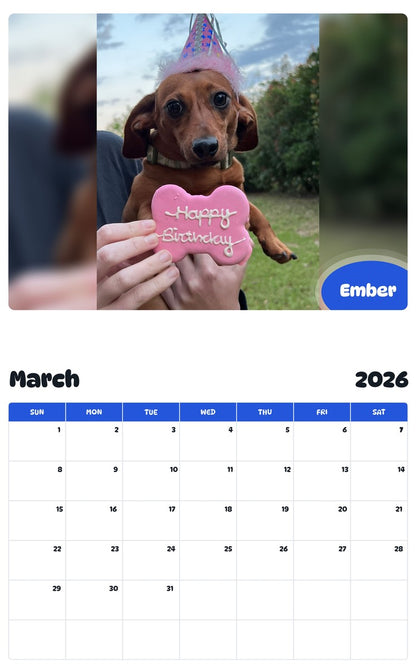 November 2025 - October 2026 Ember - Pawidols Pet Calendar