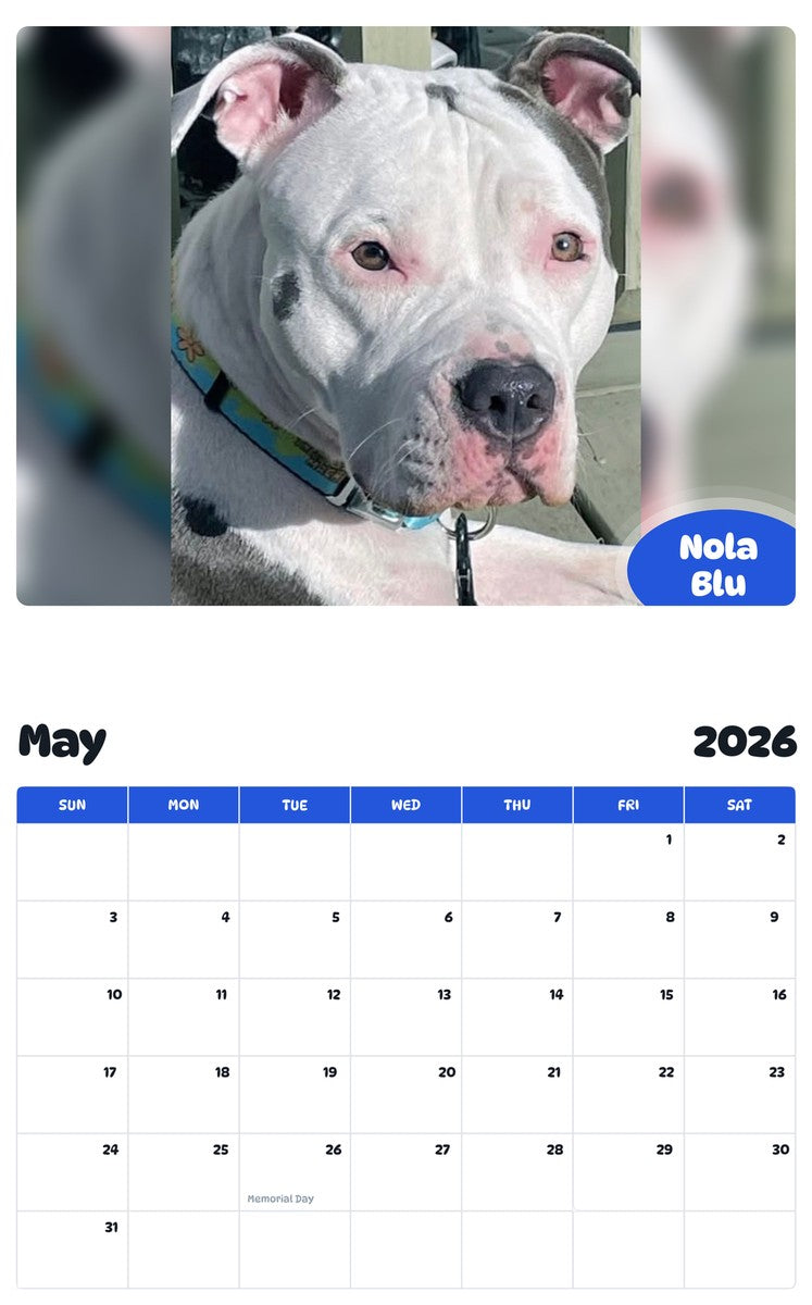 2026 - 2027 Nola Blu - Pawidols Pet Calendar