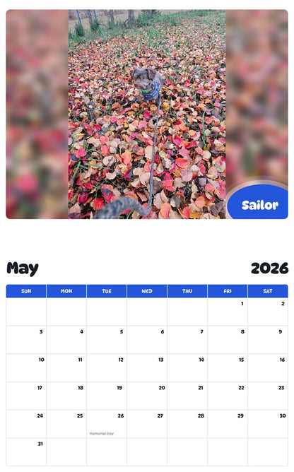2026 - 2027 Sailor - Pawidols Pet Calendar