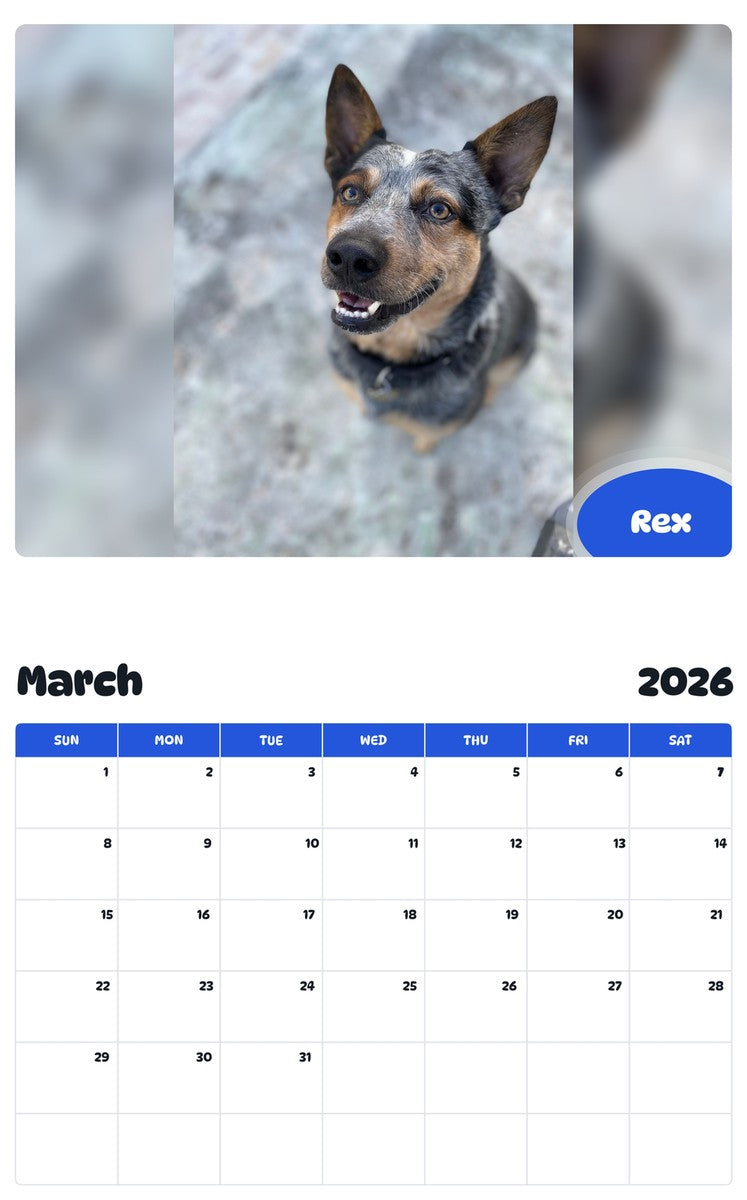 November 2025 - October 2026 Rex - Pawidols Pet Calendar