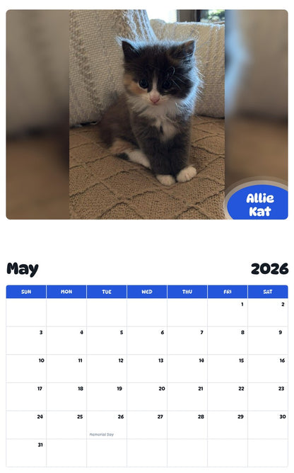 2026 - 2027 Allie Kat - Pawidols Pet Calendar