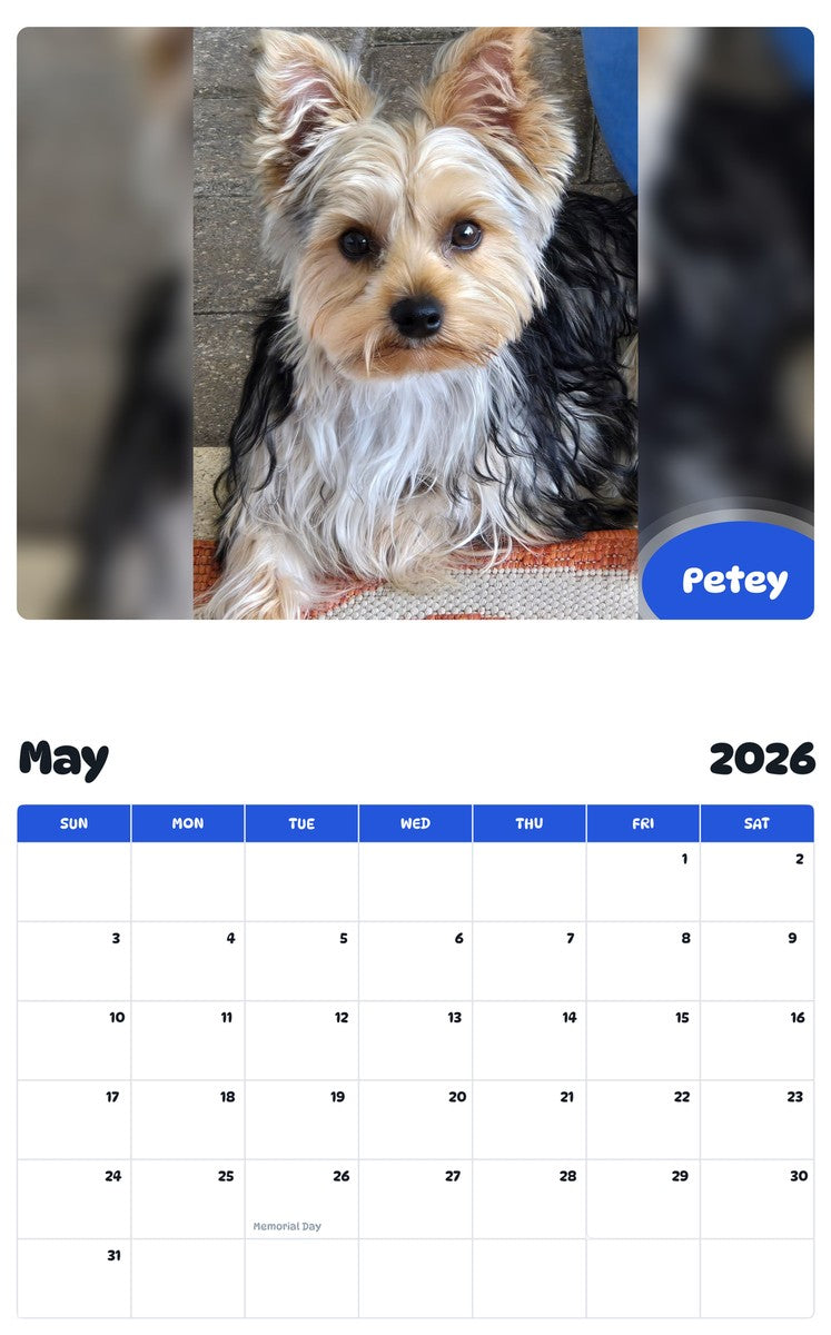 2026 - 2027 Petey - Pawidols Pet Calendar