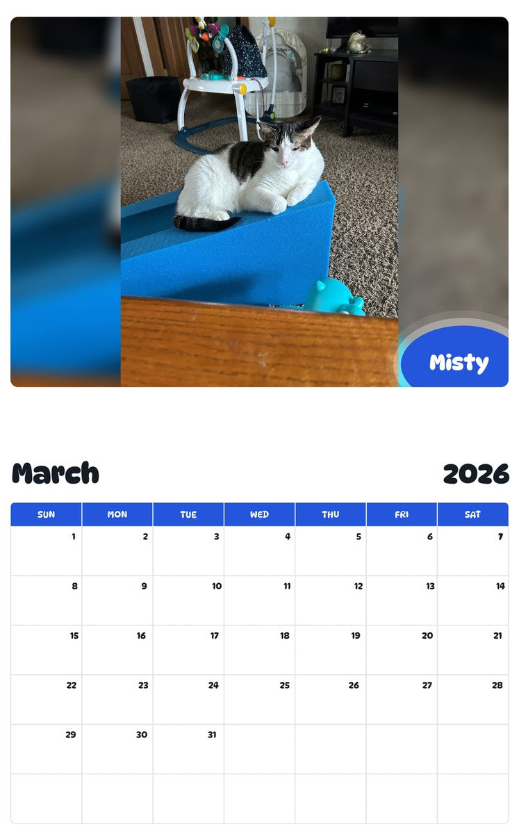 November 2025 - October 2026 Misty - Pawidols Pet Calendar