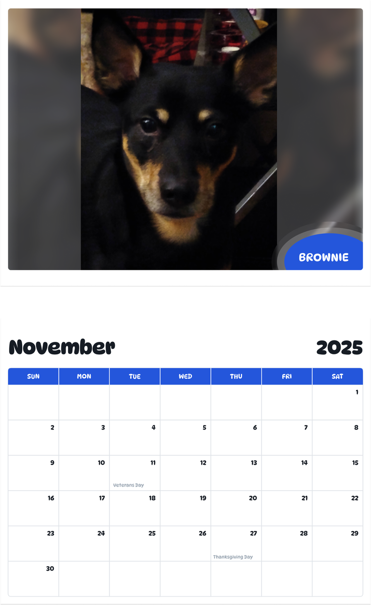 July 2025 - June 2026 brownie - Pawidols Pet Calendar