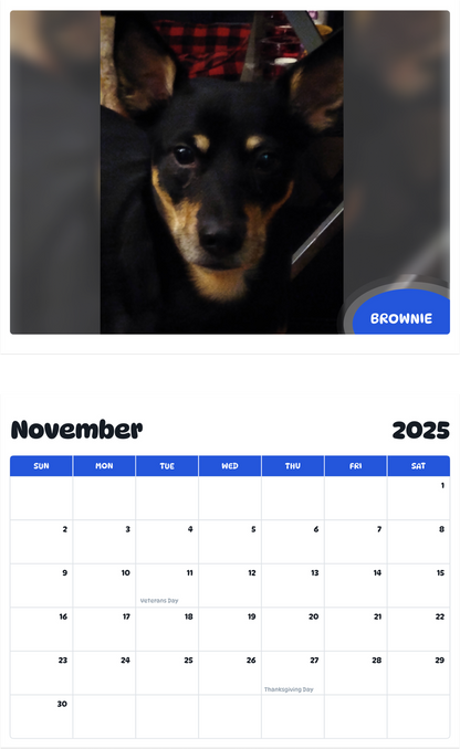July 2025 - June 2026 brownie - Pawidols Pet Calendar