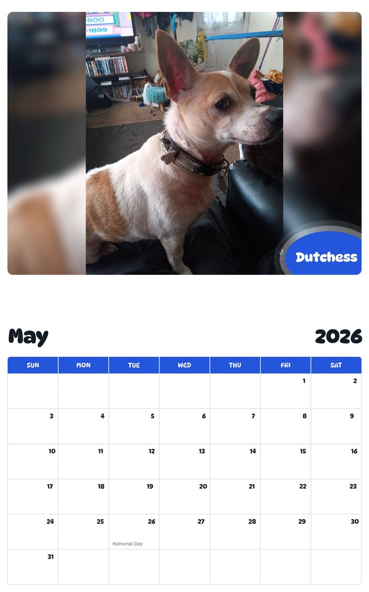 2026 - 2027 Dutchess - Pawidols Pet Calendar