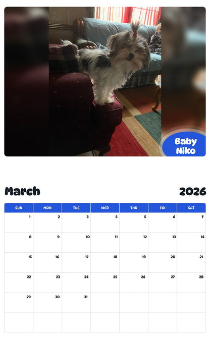 November 2025 - October 2026 Baby Niko - Pawidols Pet Calendar