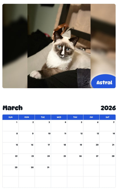 November 2025 - October 2026 Astral - Pawidols Pet Calendar