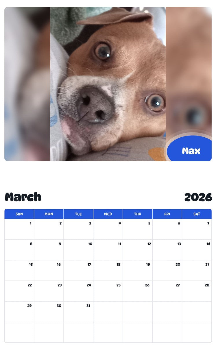 November 2025 - October 2026 Max - Pawidols Pet Calendar