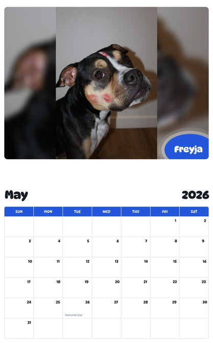 2026 - 2027 Freyja - Pawidols Pet Calendar