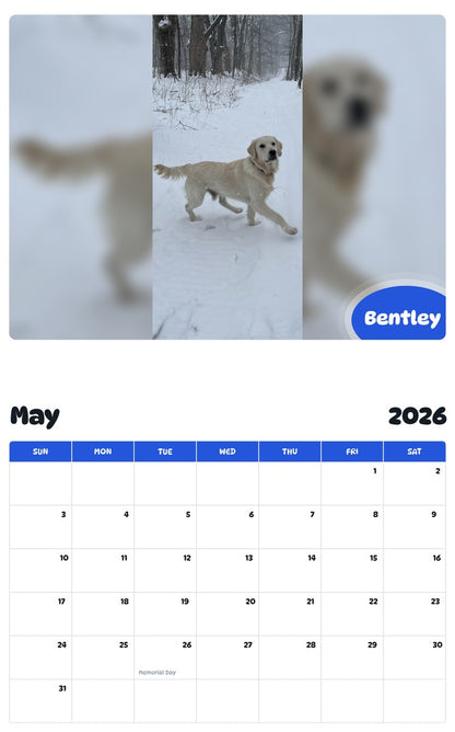 2026 - 2027 Bentley - Pawidols Pet Calendar