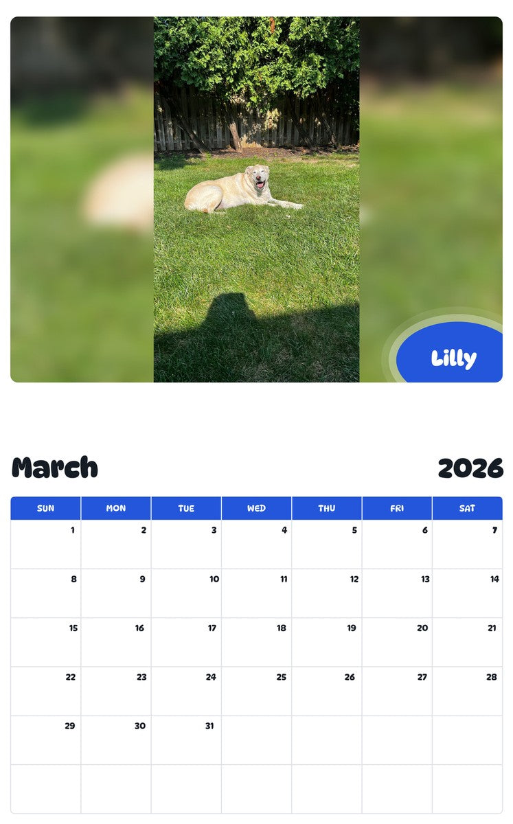 November 2025 - October 2026 Lilly - Pawidols Pet Calendar
