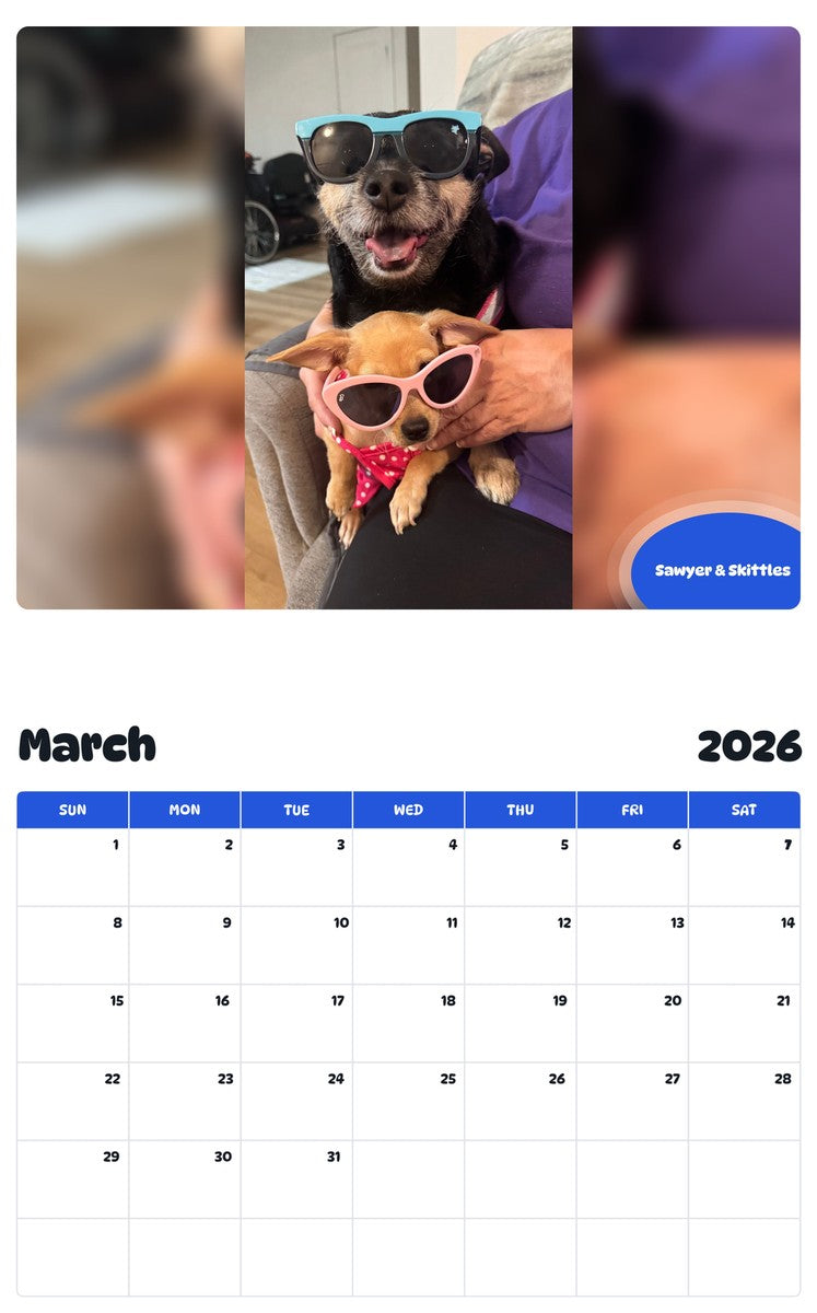 November 2025 - October 2026 Sawyer & Skittles - Pawidols Pet Calendar