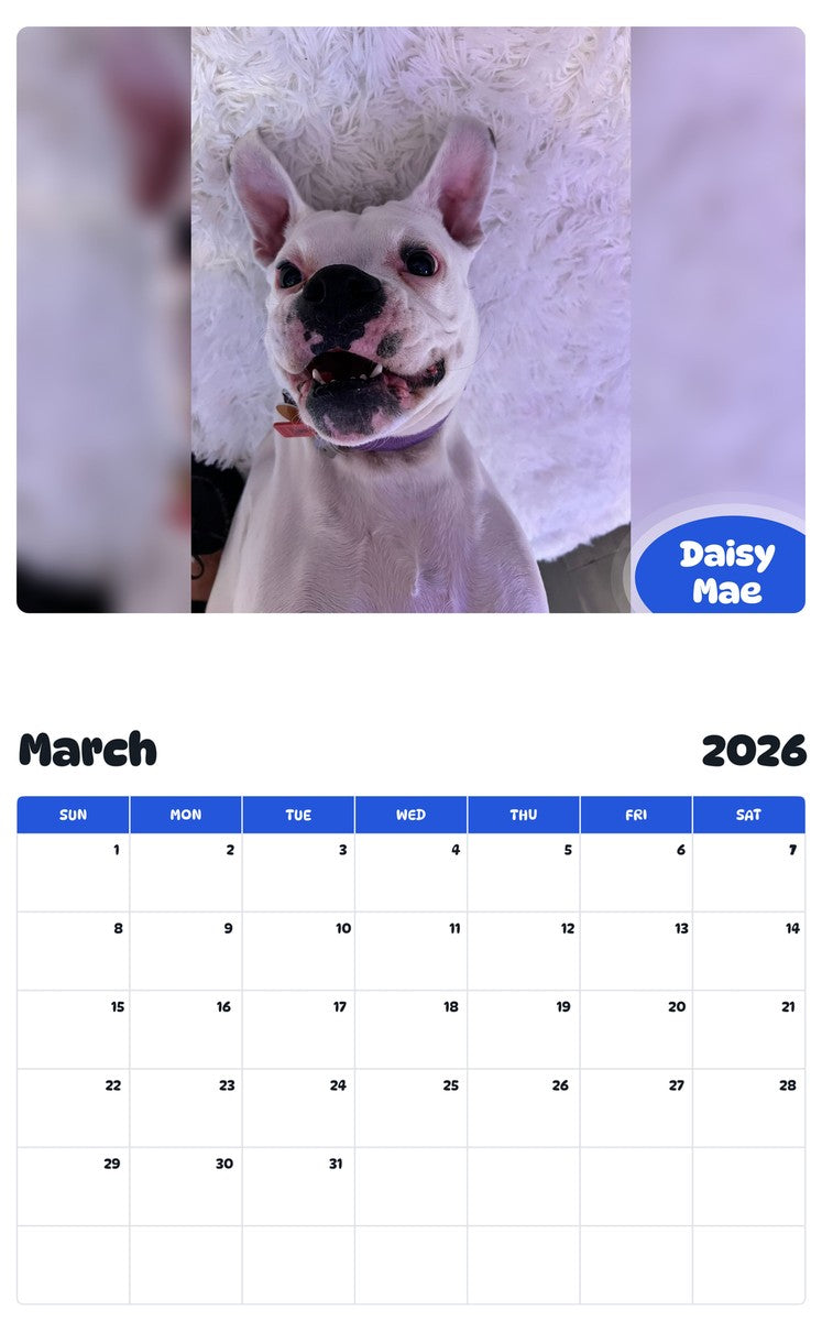 November 2025 - October 2026 Daisy Mae - Pawidols Pet Calendar