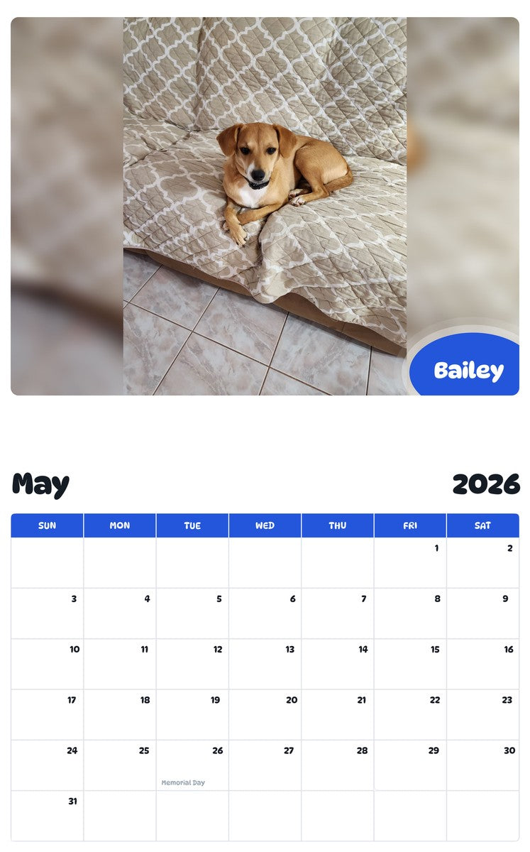 2026 - 2027 Bailey - Pawidols Pet Calendar