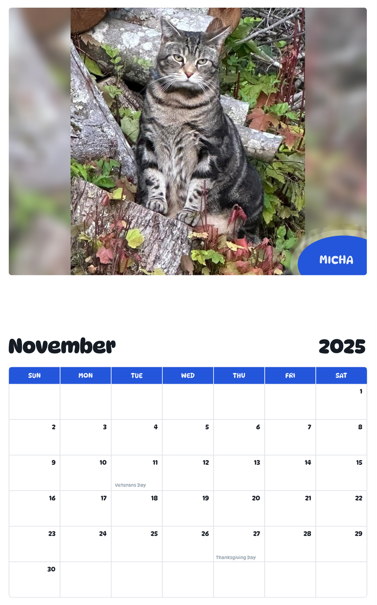 July 2025 - June 2026 Micha - Pawidols Pet Calendar