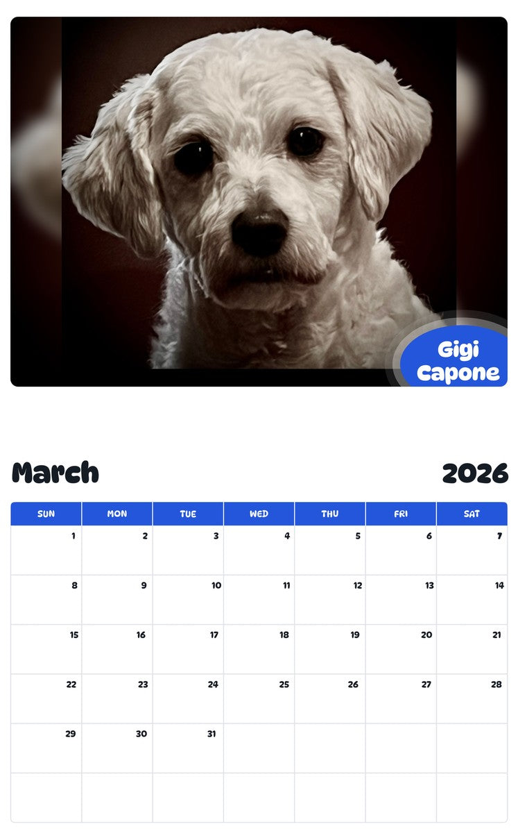 November 2025 - October 2026 Gigi Capone - Pawidols Pet Calendar