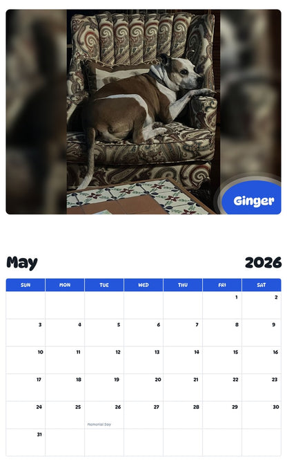 2026 - 2027 Ginger - Pawidols Pet Calendar