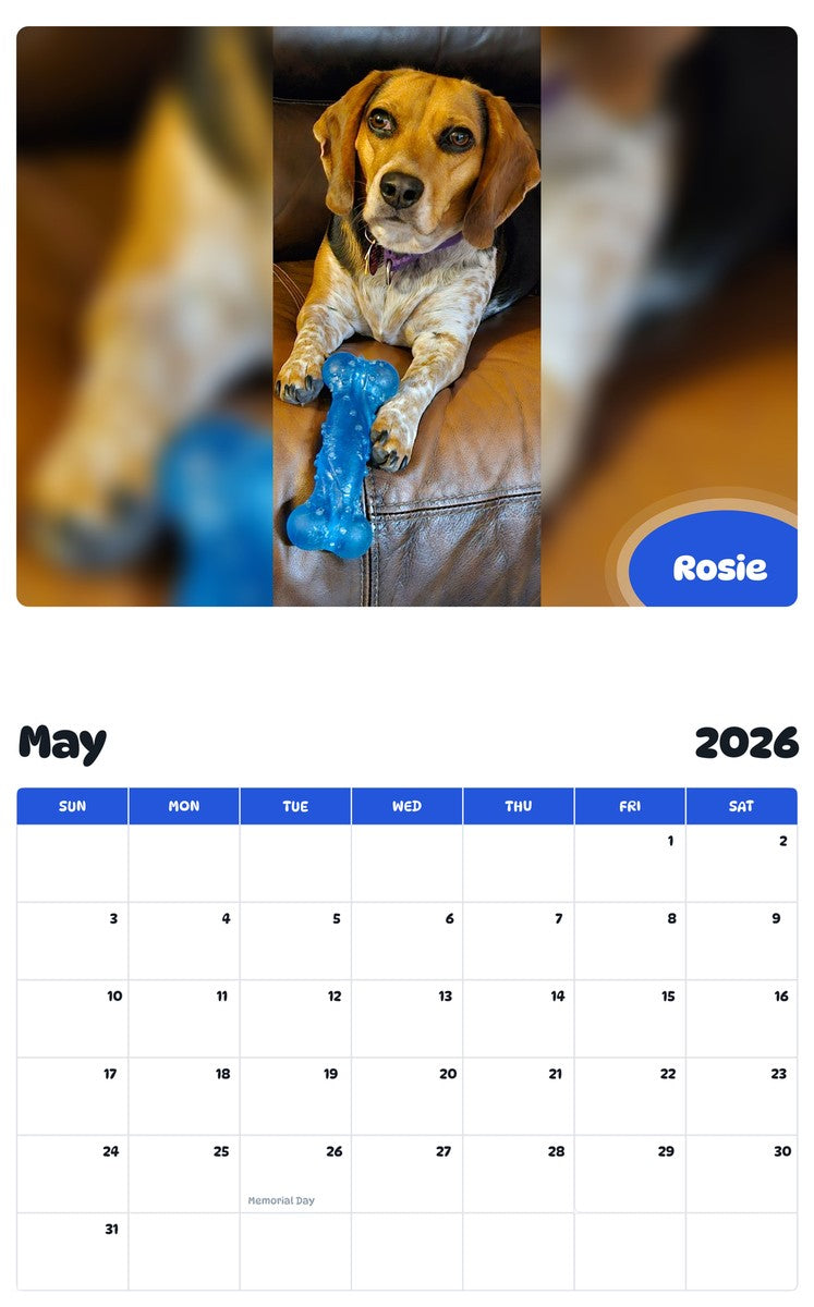 2026 - 2027 Rosie - Pawidols Pet Calendar