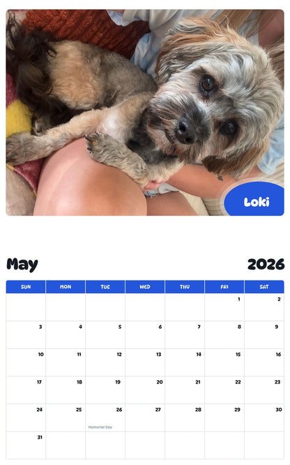 2026 - 2027 Loki - Pawidols Pet Calendar